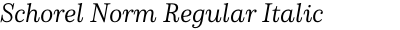 Schorel Norm Regular Italic